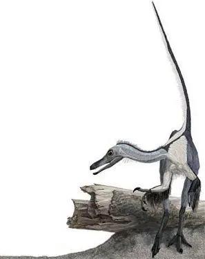 会飞的恐龙分别都是什么样子,会飞的恐龙大全