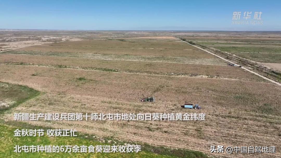 横跨中国北境的孤勇者之路，接力G219，荒芜与惊喜并存！