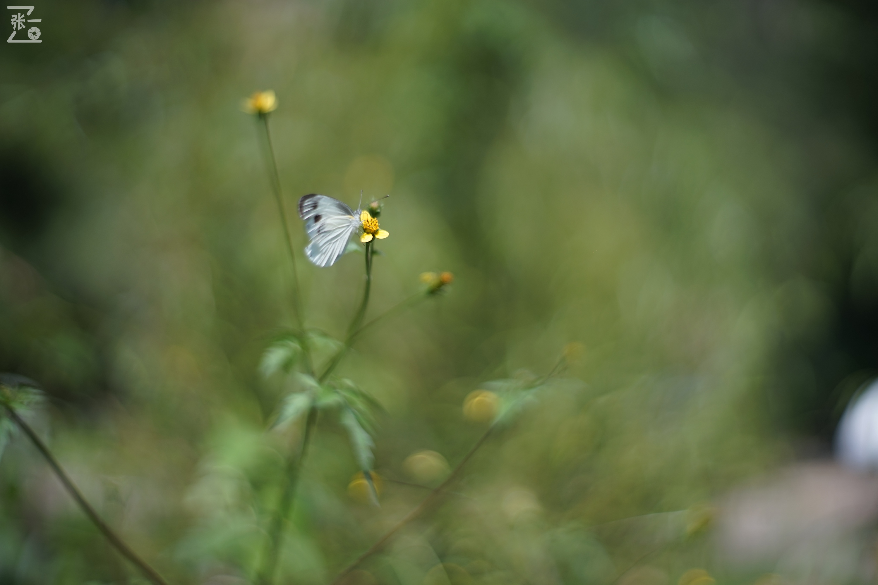 老镜头实拍,老镜头拍北京