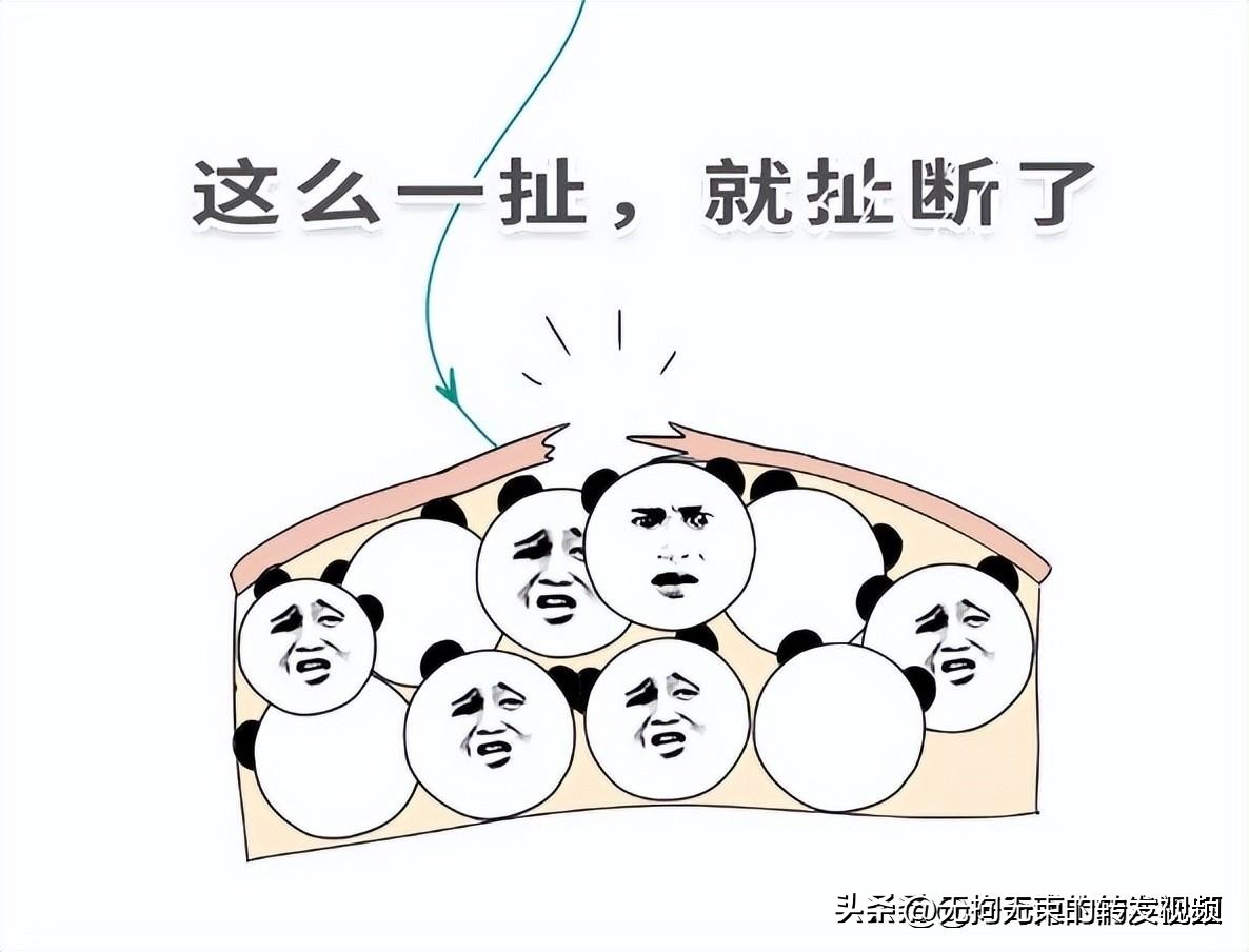 屁股上有白色条纹,屁股上都是白色条纹