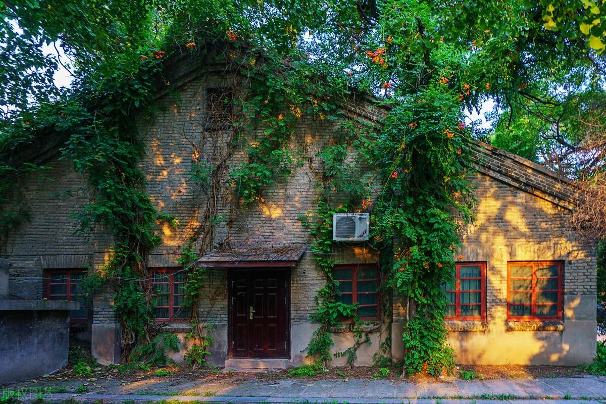 川大地铁女主罚酒三杯,四大校园隐患让人心惊胆寒!