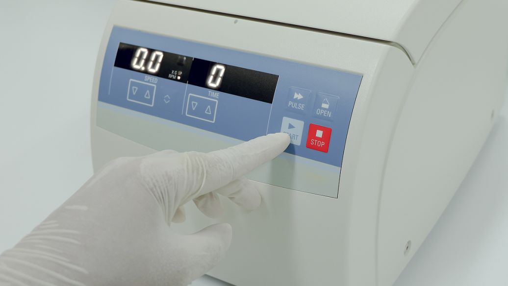 放牧强度对百喜草变草响应的影响