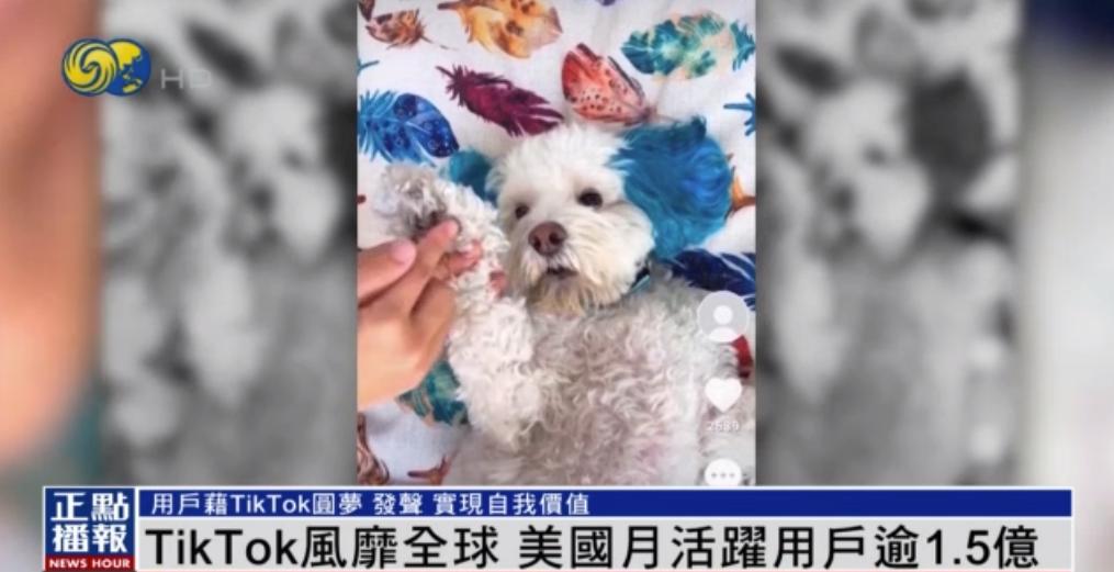 tiktok首席执行官被问懵,tiktok首席执行官被记者追问