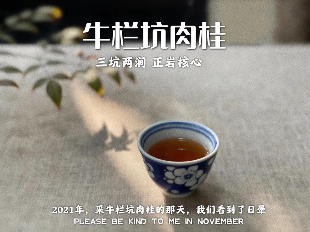 便宜的口粮茶是真的吗,因太便宜被嫌弃却是良心口粮茶
