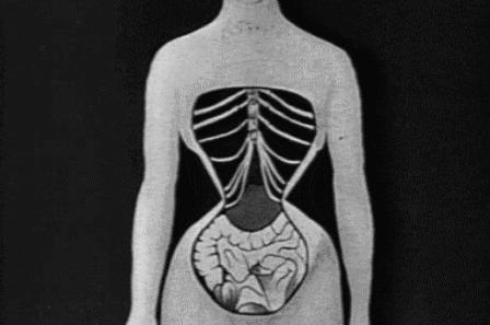 有肚腩但是很瘦该减脂肪还是增肌,肚腩是脂肪还是内脏下垂