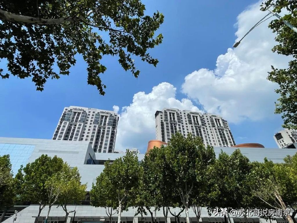 南京丹若园进度,南京丹若园哪年交付