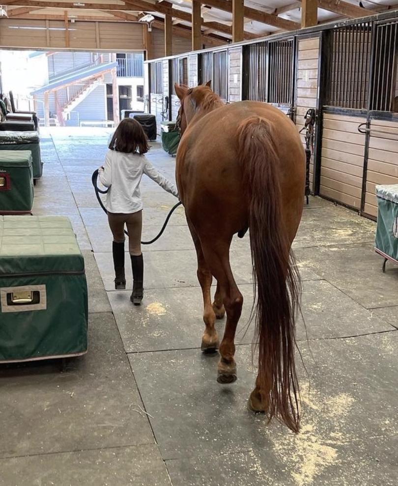 吴彦祖女儿吴斐然个人资料,吴彦祖吴斐然