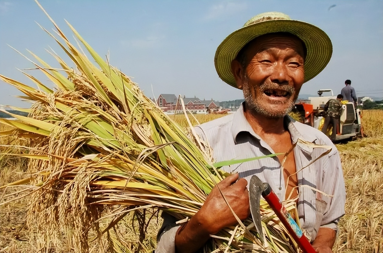 农民的职称有用吗,农民职称申报有什么用