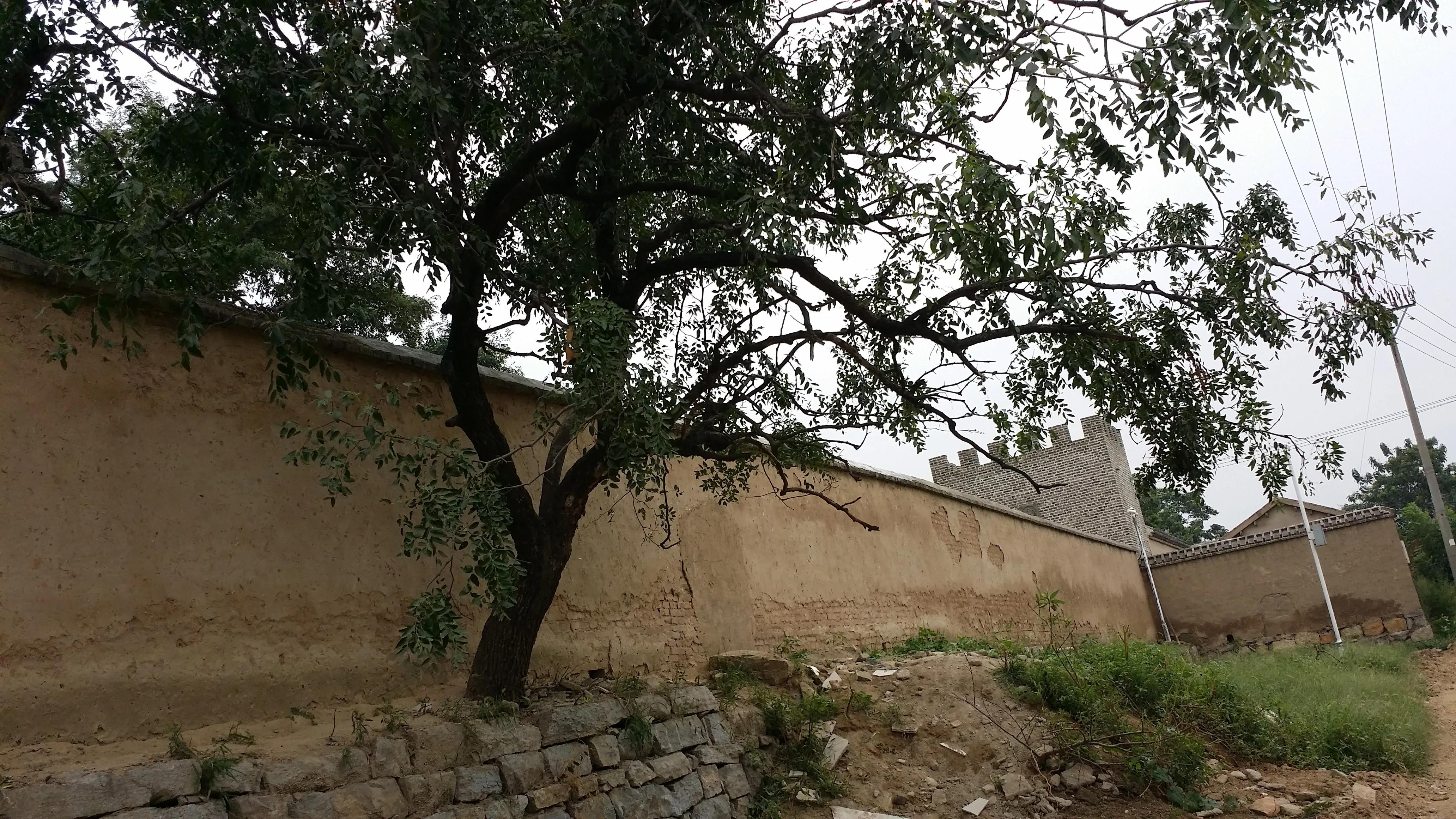萧县周边一日游攻略,萧县周边旅游景点推荐一日游