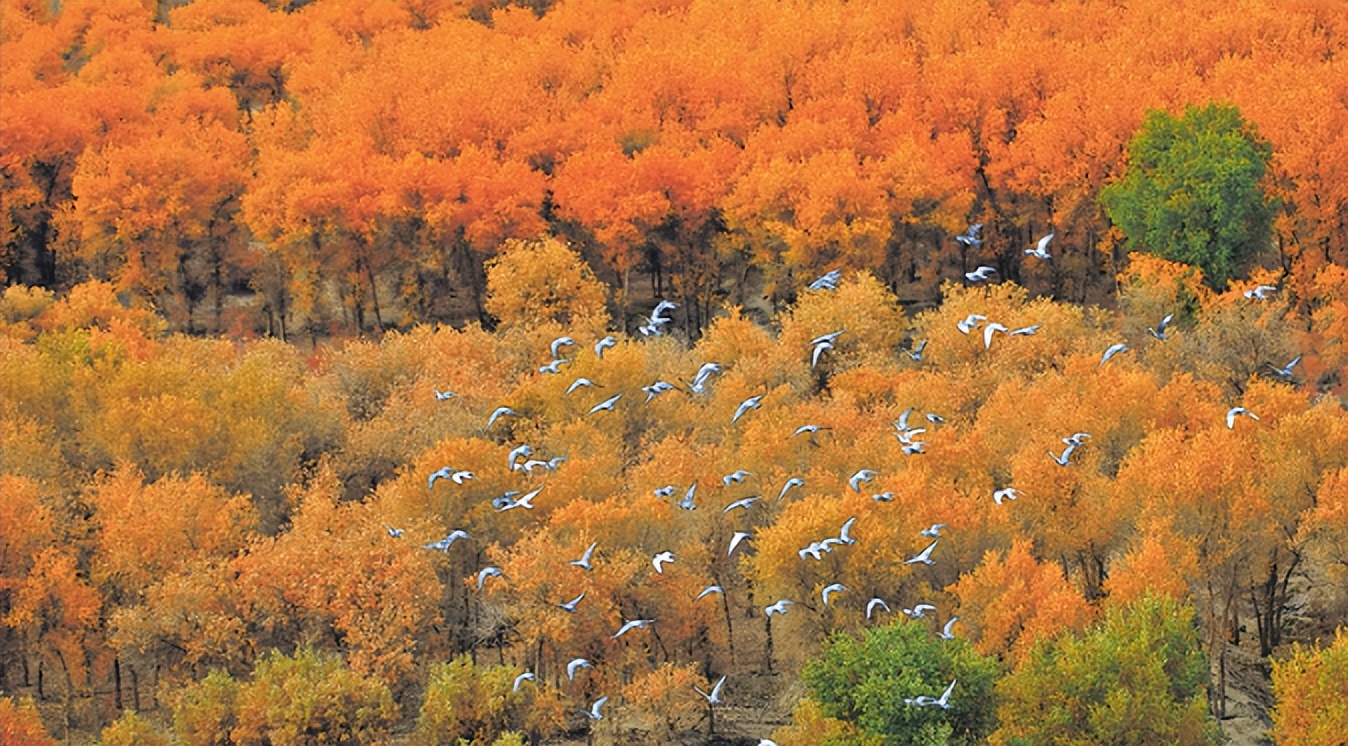 水清岸绿乡村美景图,水清天蓝地绿