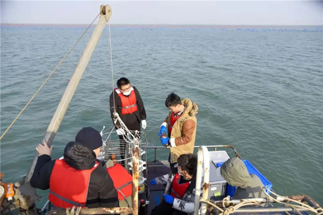 威海蓝碳示范,威海兰炭交易