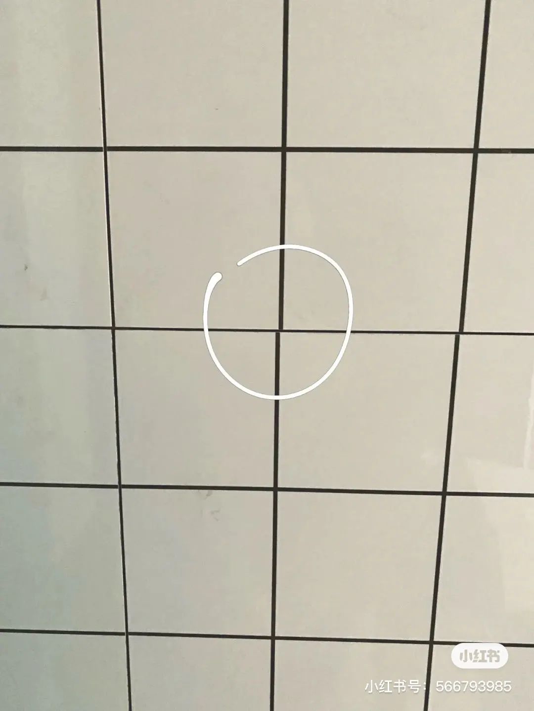 学会这些卫生间小技巧,卫生间这四个细节99%的人都忽略了