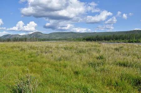 蒙古人和俄罗斯人谁的战斗力更强,蒙古人与俄罗斯