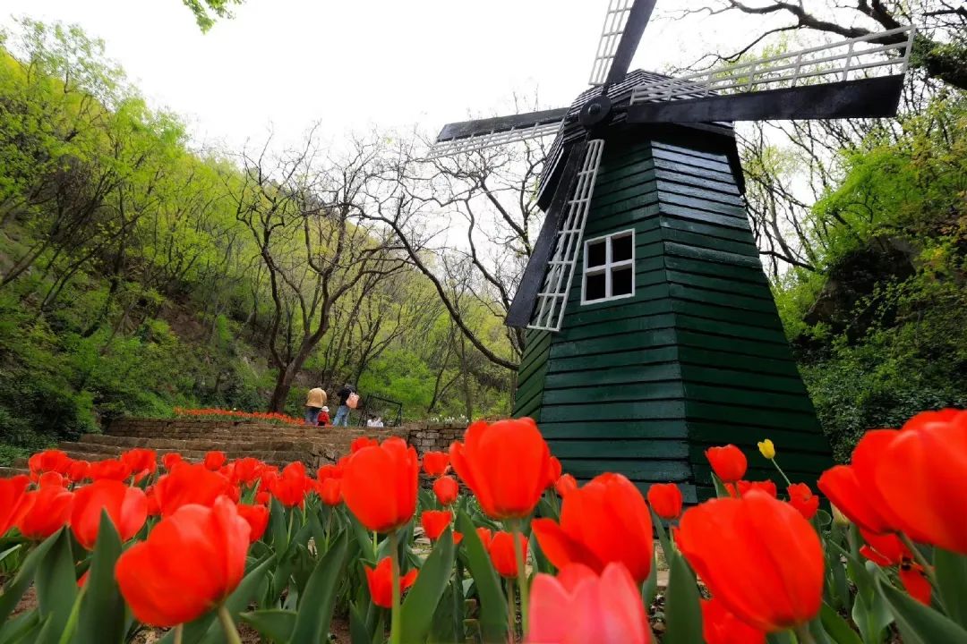 济南适合自由行的地方,去济南必去的三个地方