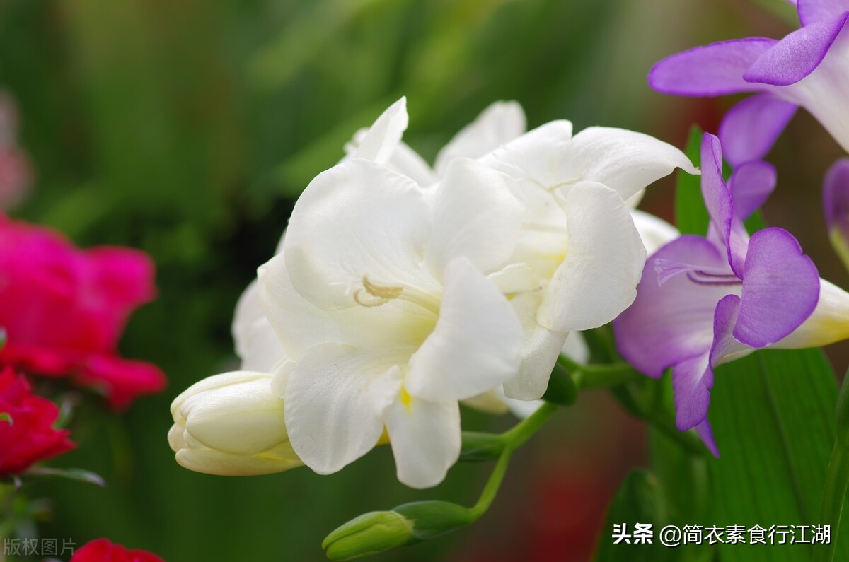 她做保姆这些年－豪门生活之危机公关（387）