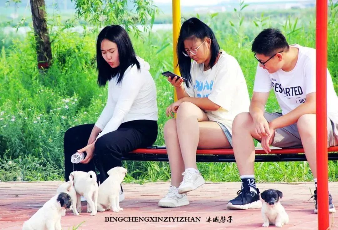 湿地可以开发什么旅游项目,黑龙江旅游必去十大湿地排名