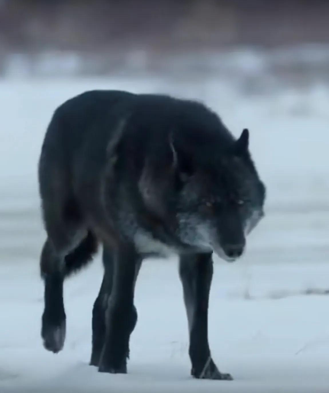 经济学权衡取舍原理,经济学原理边际量怎么理解