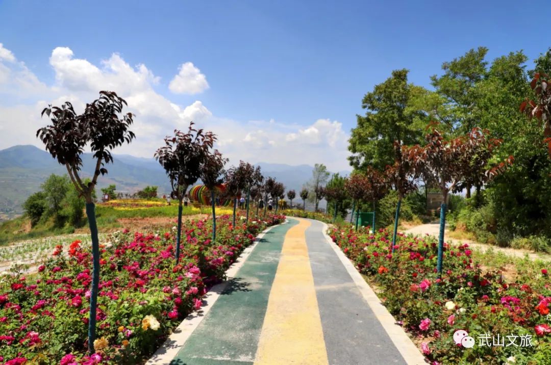 中国十大魅力之城——天水欢迎您来打卡千山万水就爱天水魅力五月打卡十有武山——,四马年村