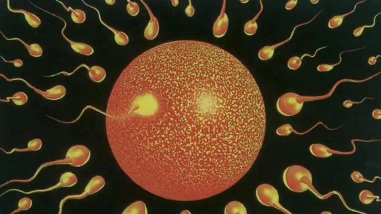 为什么有些女生一碰爱情就心乱,有的女人一碰就笑这是什么原因