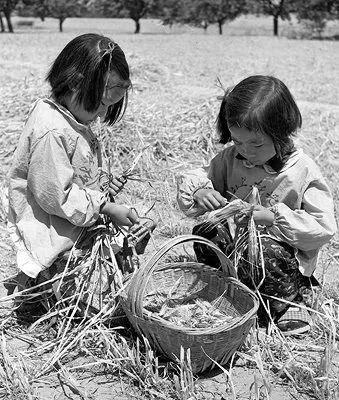80后童年六一的记忆,六一儿童节难忘的童年记忆