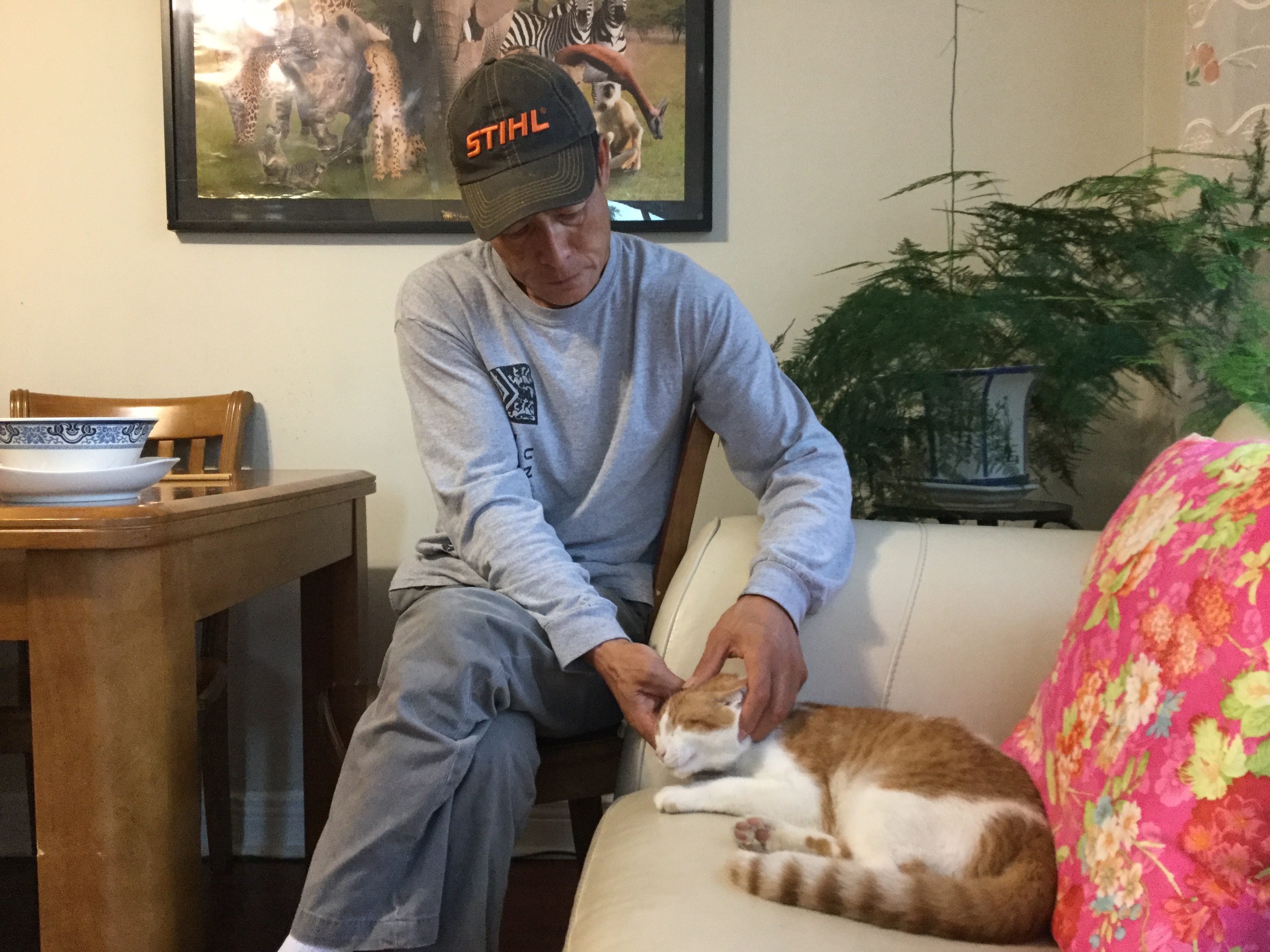 多伦多园丁猴哥三十年经历,多伦多园丁猴嫂最新视频