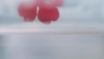 chanel衣服怎么样,chanel的衣服为什么那么贵