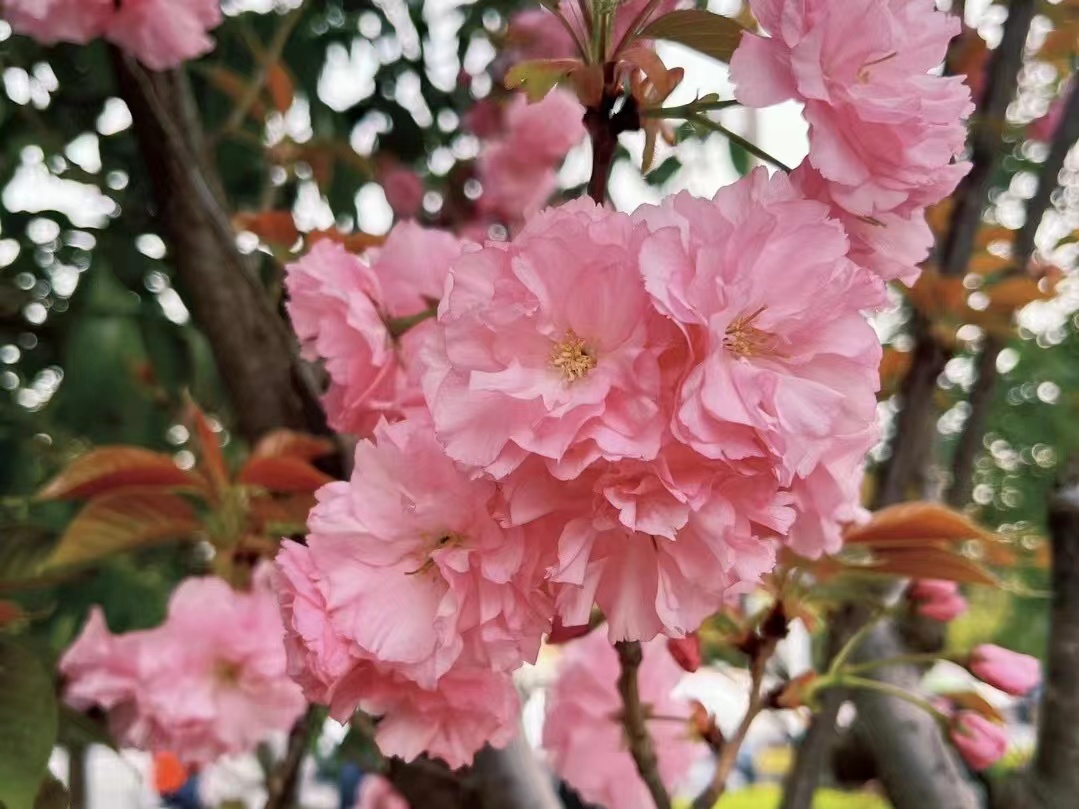 复盘从哪些维度数据去切入,复盘一下这一年的成长与得失