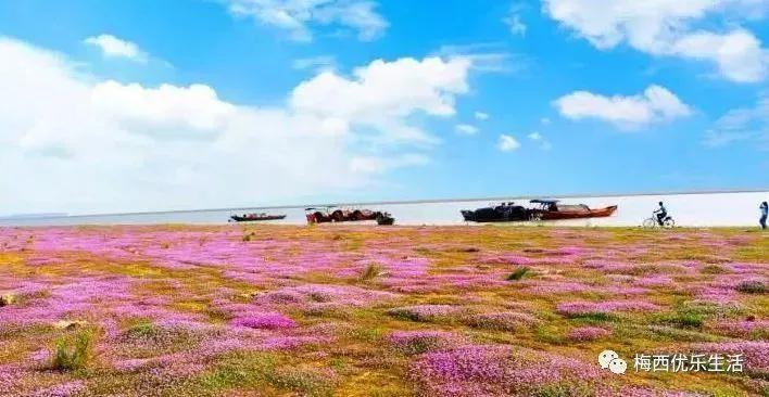 苦难的过去，救我们生命的鄱阳湖