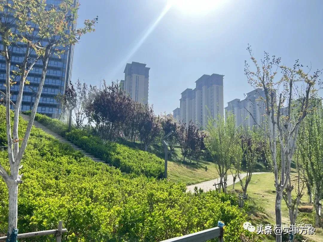 济南中新国际城韩仓河周围规划,中新国际城建设进度