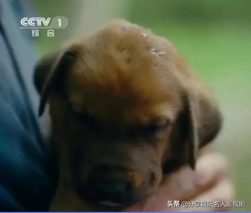 人世间罕见的瞬间,人世间最动人片段