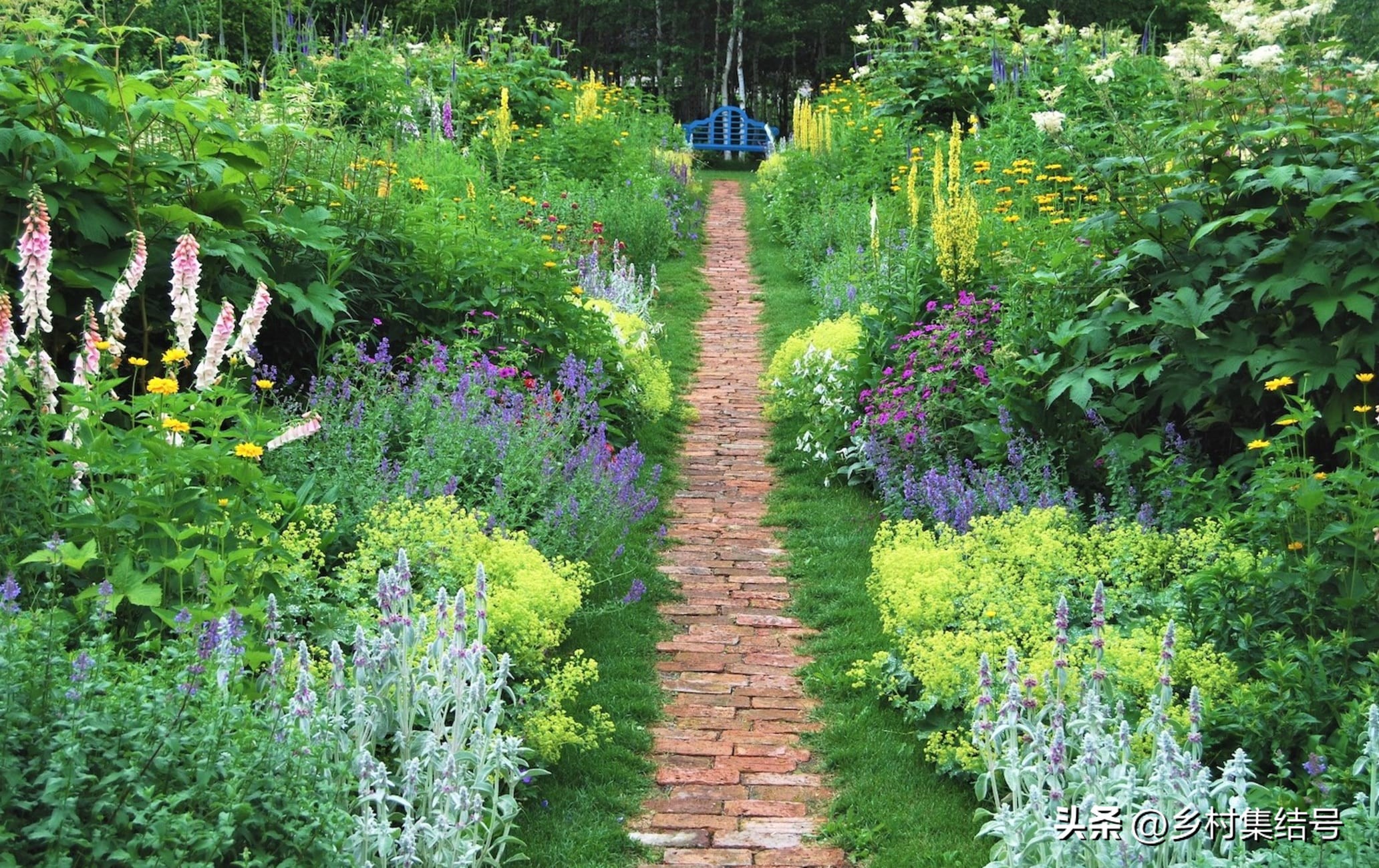 北海道上野农场,日本北海道上野农场