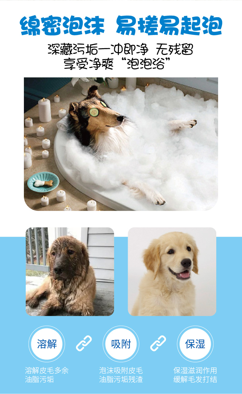 新手养狗狗避免智商税,给狗狗买沐浴露新手和老手的区别