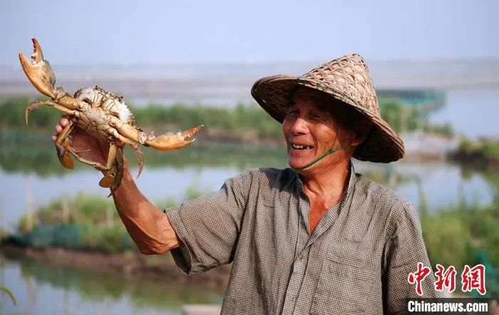 大闸蟹攻略带你品味大闸蟹,哪里大闸蟹可以媲美阳澄湖大闸蟹