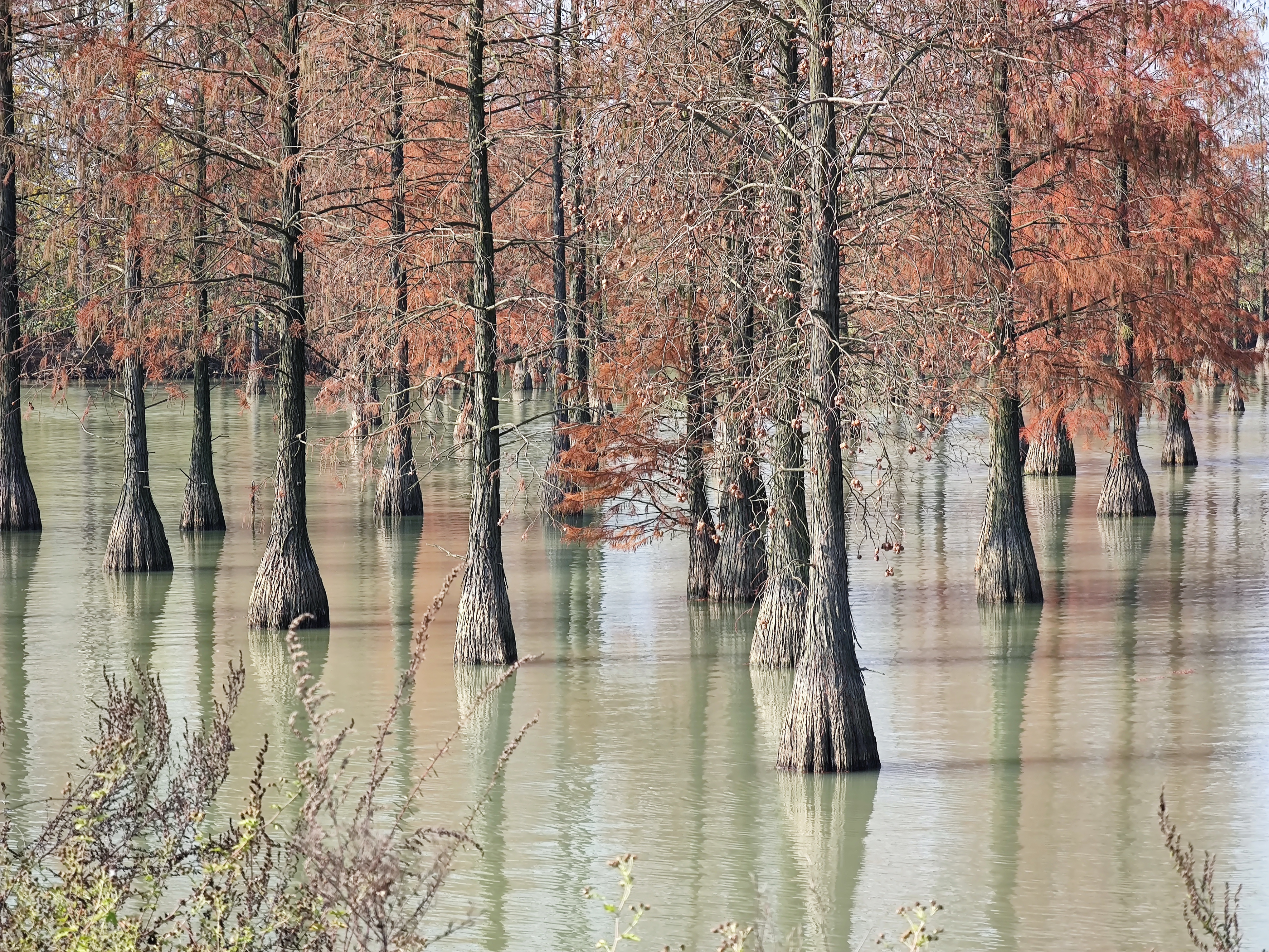苏浙皖赣的旅游景点有多少,苏皖旅游景点推荐