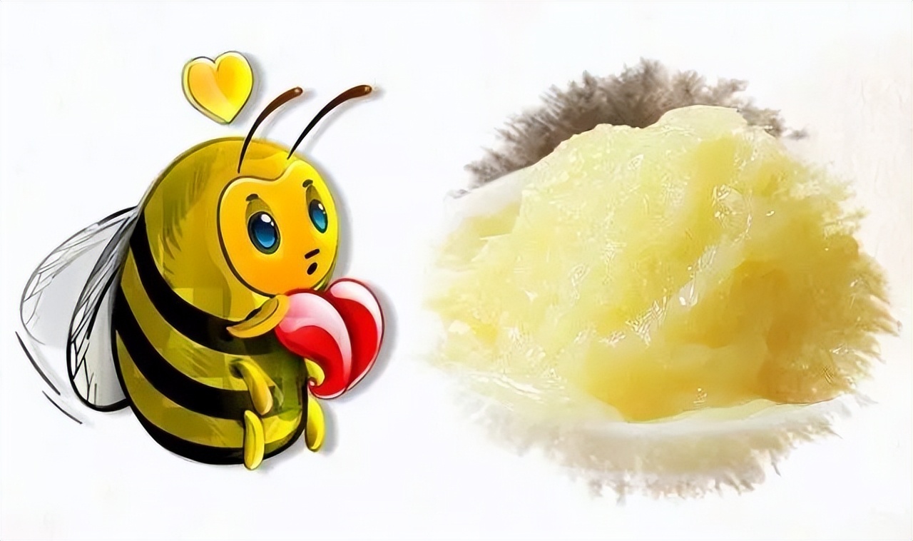 蜂王浆,蜂王浆价格一斤多少钱