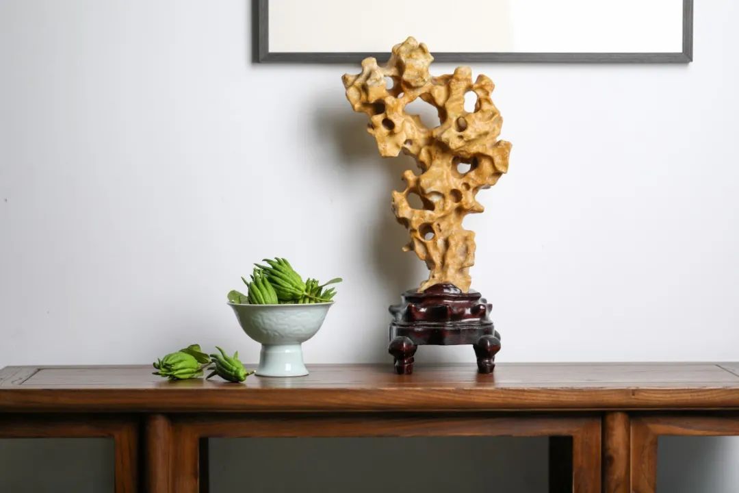 佛手清供哪里买,又到白茶飘香时