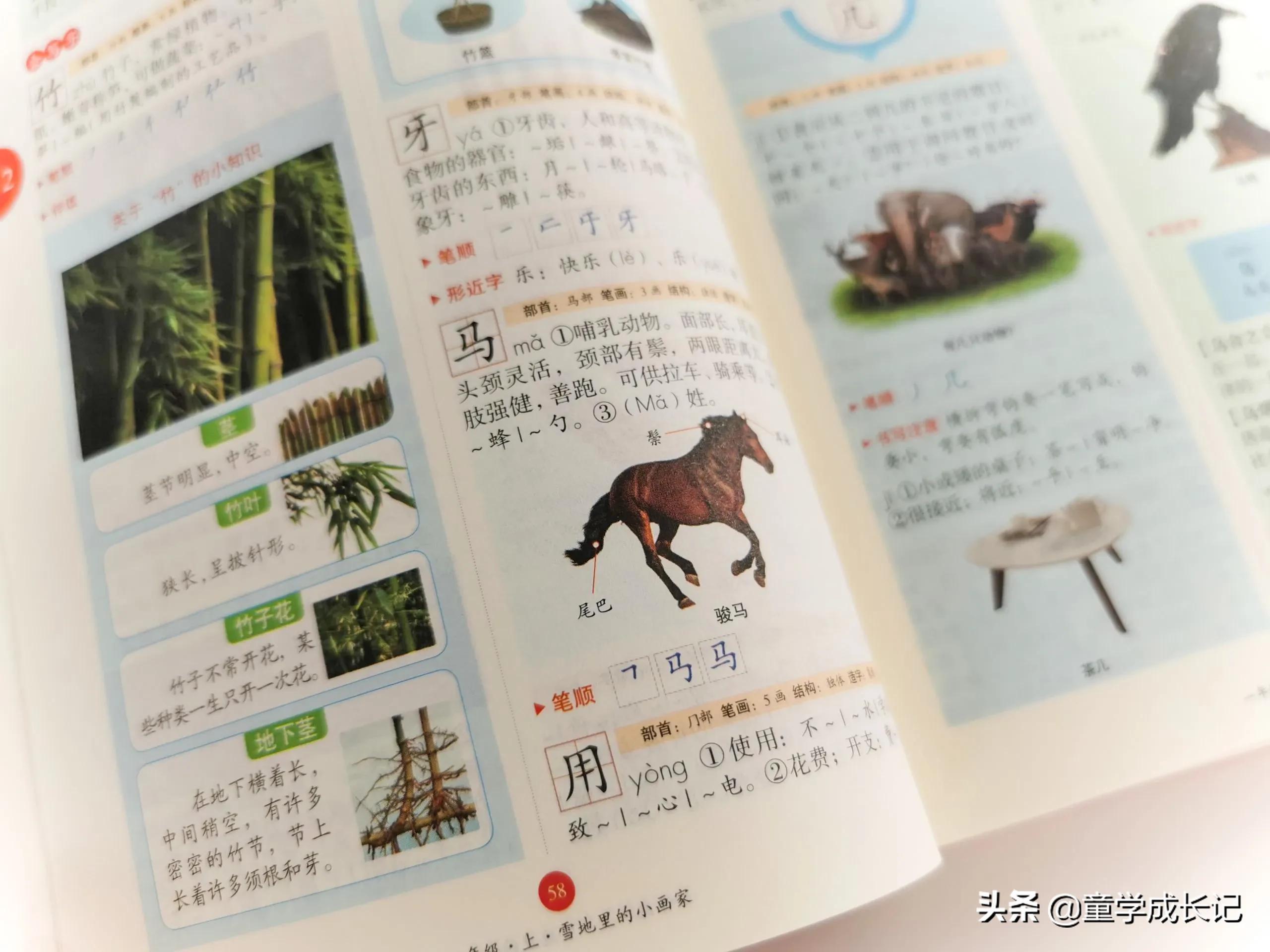 绘本课堂的数学练习册好吗,绘本课堂这套教材好用吗