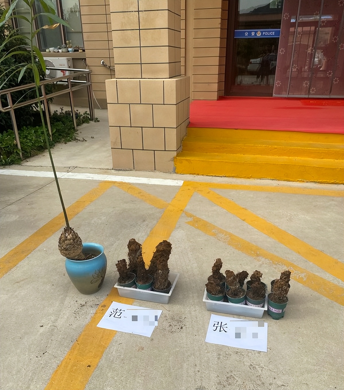 青岛城阳区搬家整理,青岛城阳搬家