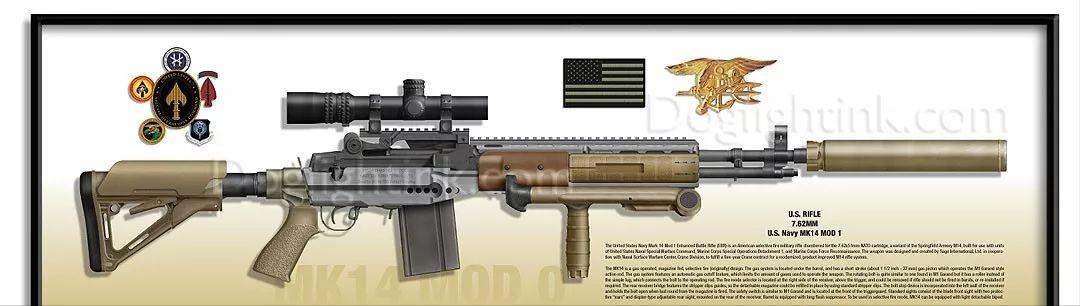 现实中的mk14ebr增强型射手步枪,mk14ebr和dmr