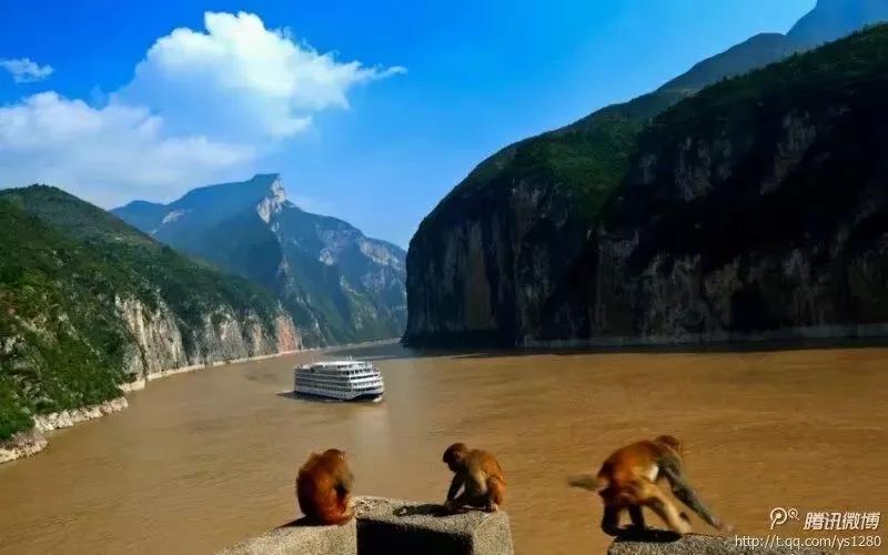 微博属于阿里巴巴还是腾讯,新浪微博和腾讯微博的关系