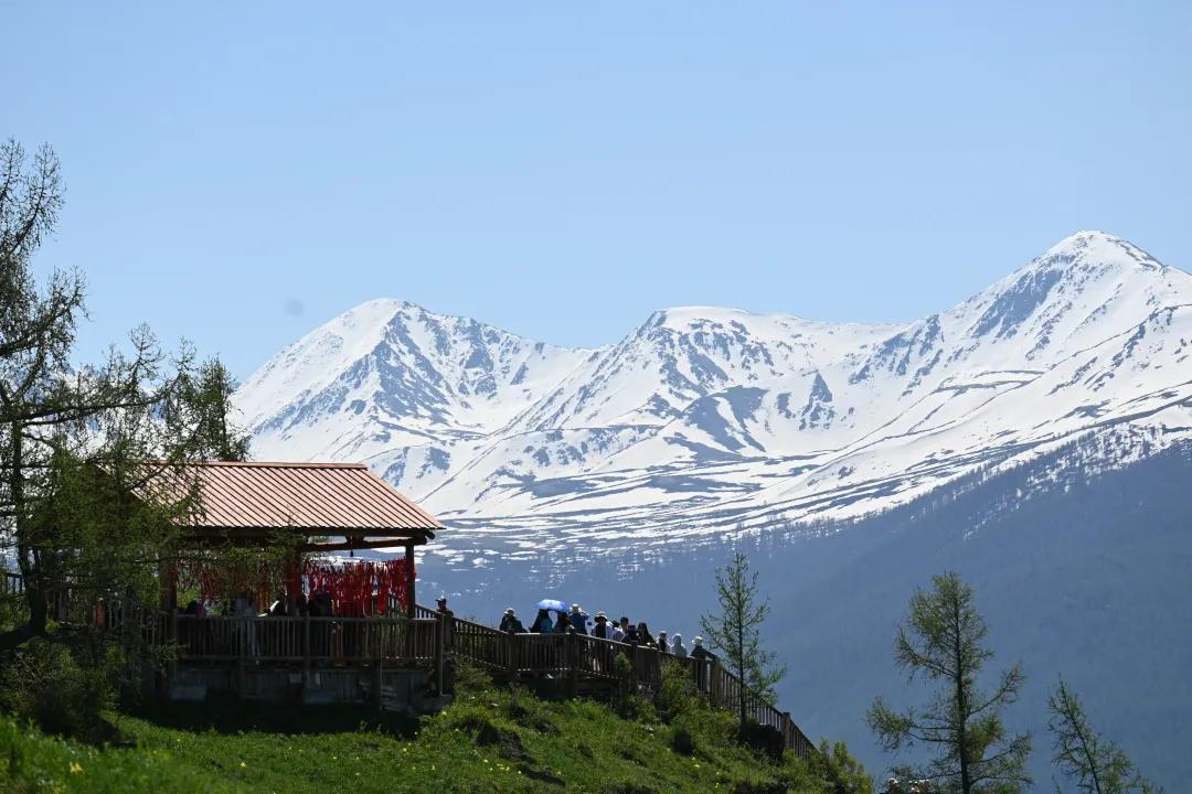 关于罚息和复利的法律规定,利息复利罚息逾期利息傻傻分不清