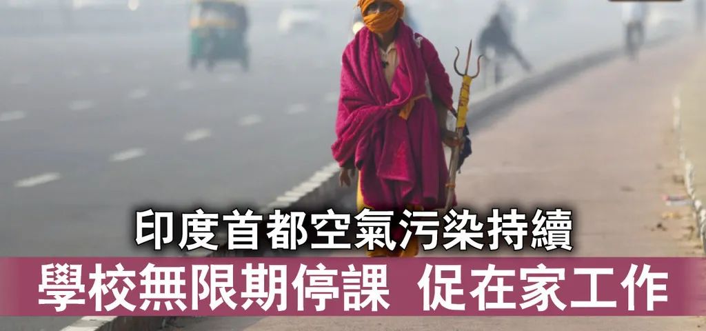 印度吹阵风,印度吹过的牛