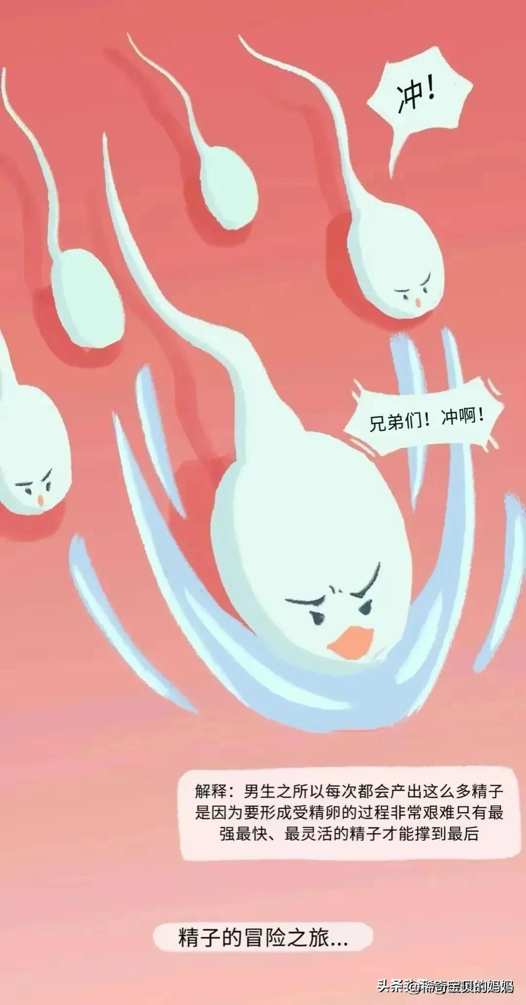 男生的“精子”进入女生体内，会发生怎样的变化？