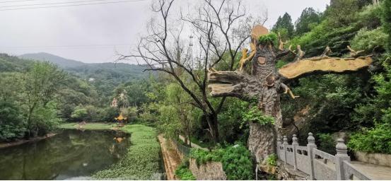 最好的风景是山里走走,最好的旅游风景在路上