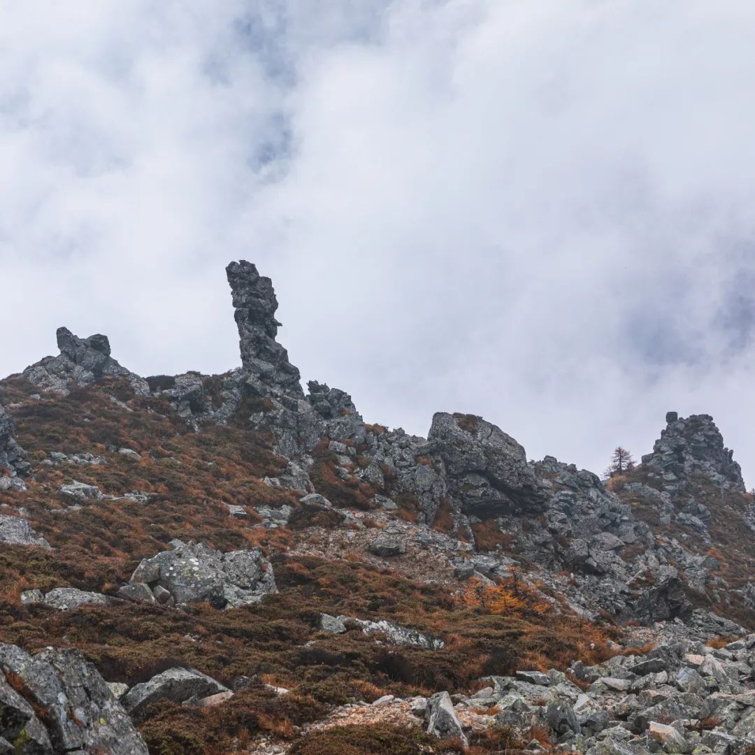 太白山是陕西最高点吗,秦岭最高峰太白山