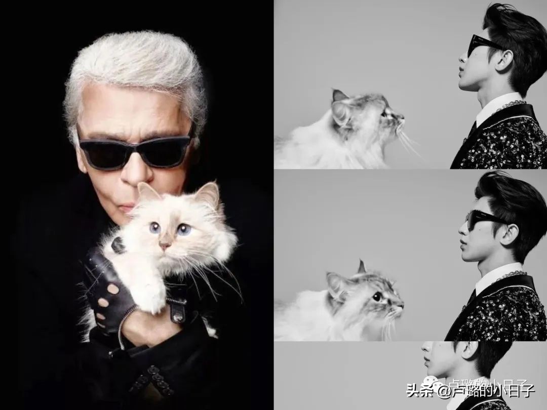 metgala最糟糕造型,metgala时装秀是什么