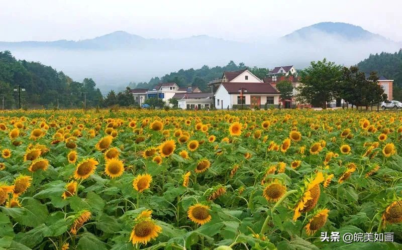 夏天避暑宝藏胜地,安徽夏天避暑最佳旅游地