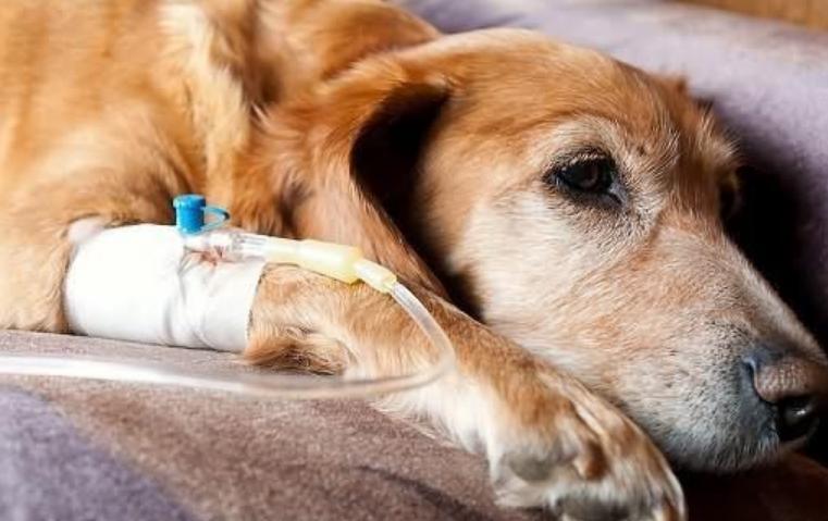 继承岳母上亿遗产法院判决,继承人继承遗产后出国被家人起诉