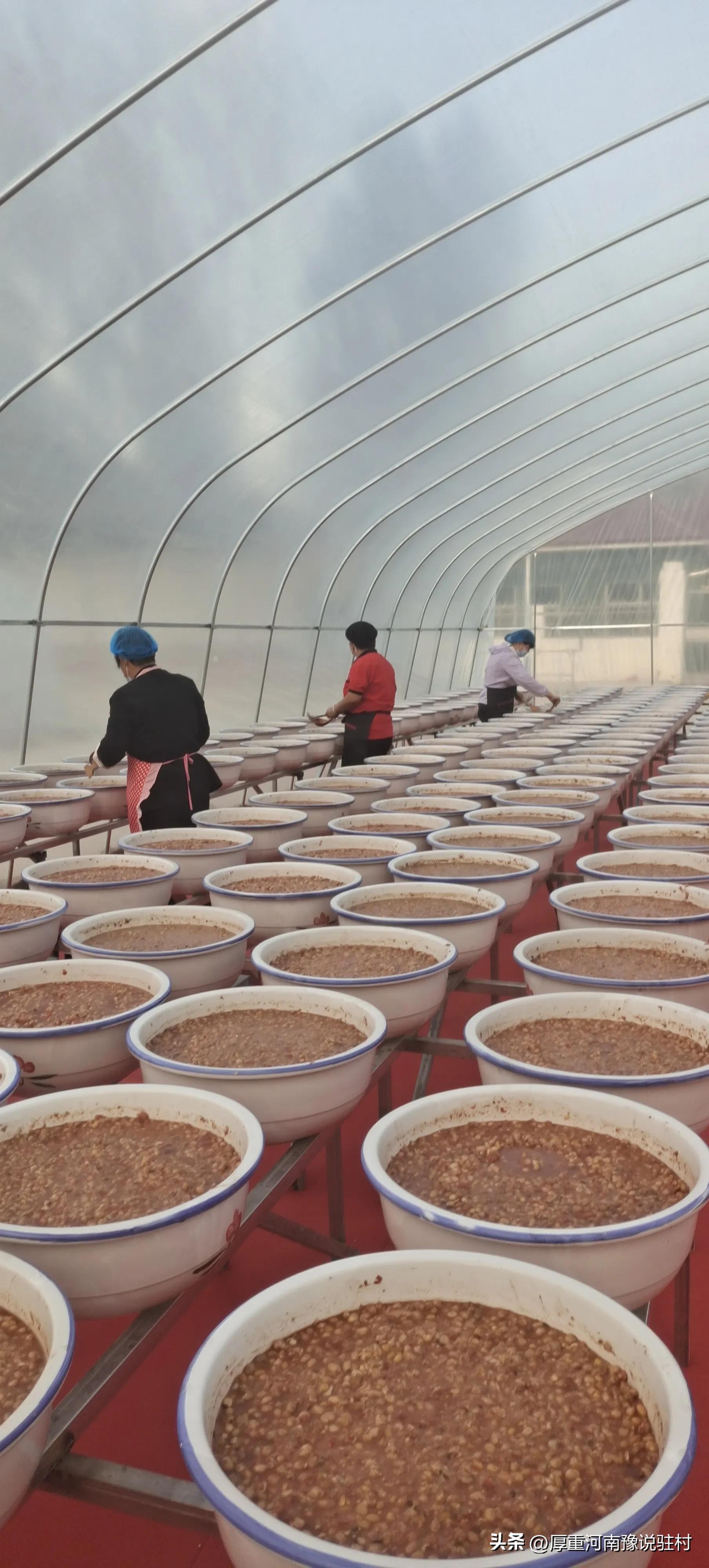 派驻村第一书记完整版,驻村第一书记15集