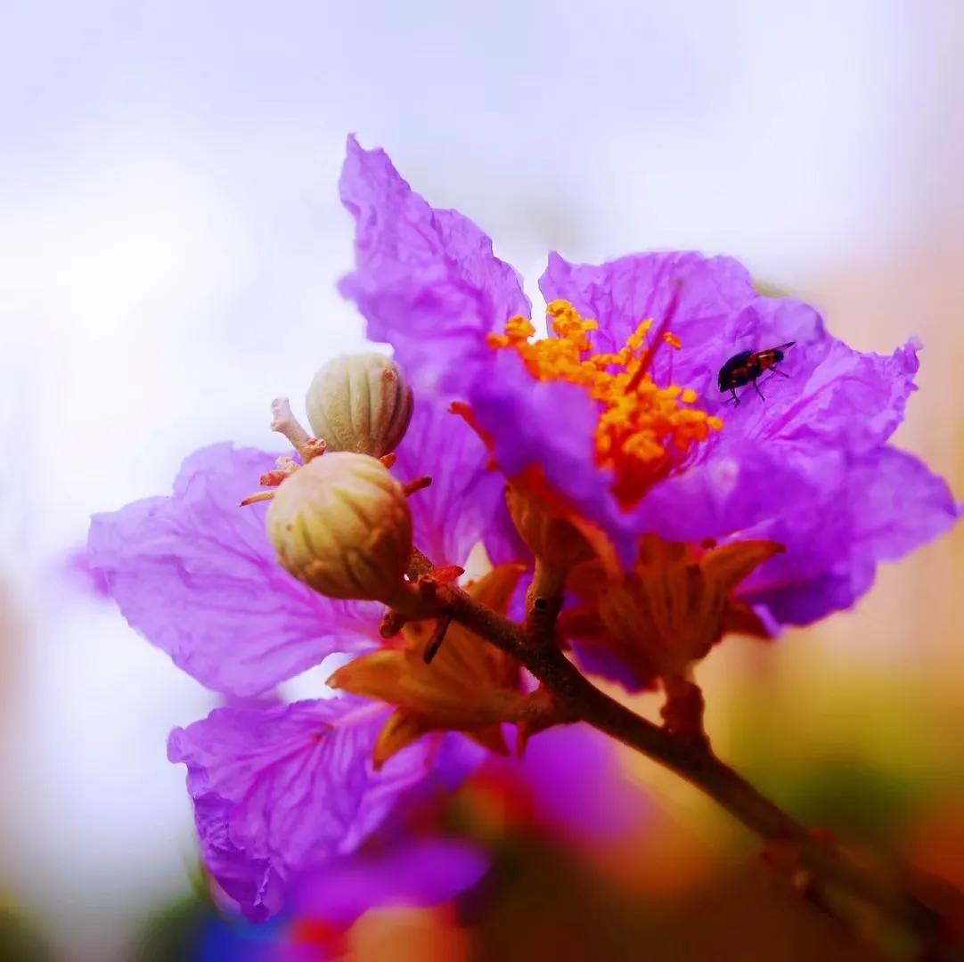 《琼崖热土少年时》之九